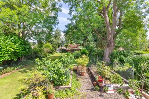 Photo 40- click for photo gallery